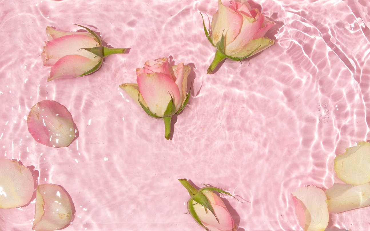 Roses floating on a light pink liquid