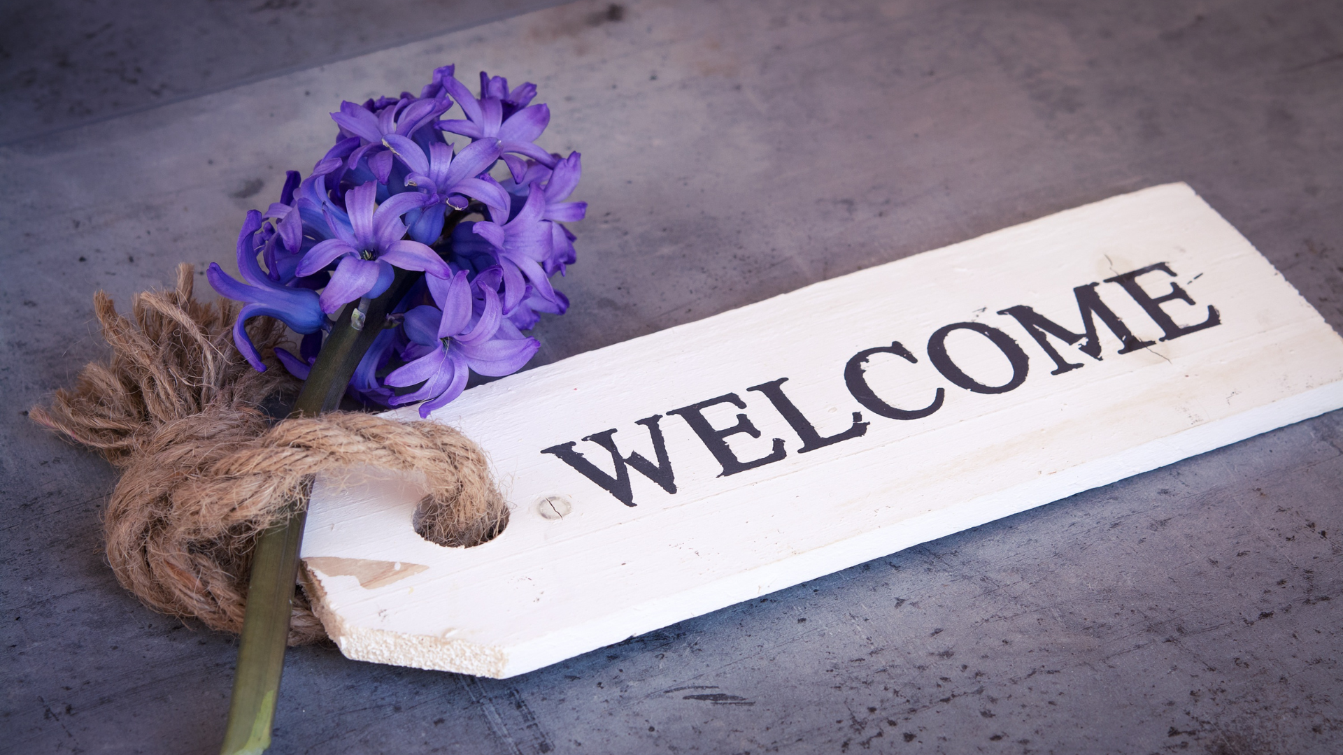 Wooden tag saying "Welcome" with a purple flower next to it